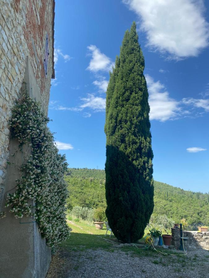 Gavene Hotel Villamagna  Exterior photo